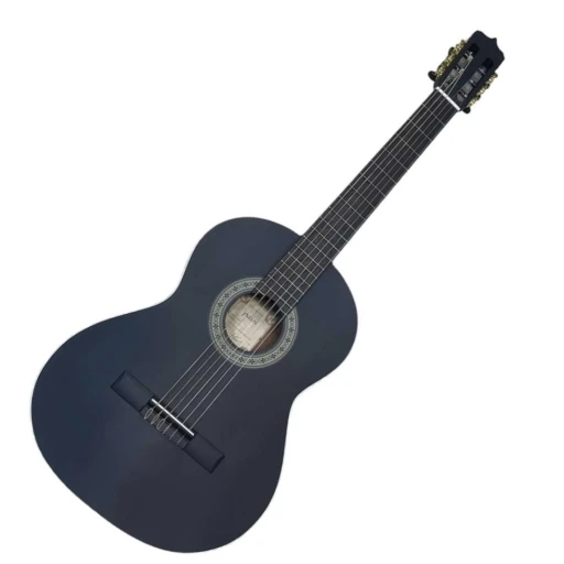 معاوصه گیتار نو با کارکرده