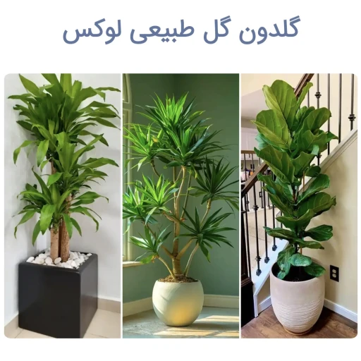 گلهای طبیعی زیبا و شاداب به همراه گلدان فانتزی