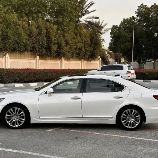 بدون ذره ای رنگ شدی و خط و خش