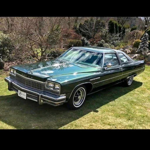 بیوک الکترا ۲۲۵ لاندو مدل ۱۹۷۵ میلادی